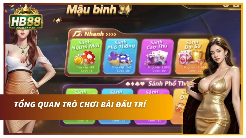 Bài mậu binh – Trò chơi xếp chi đấu trí hấp dẫn hàng đầu