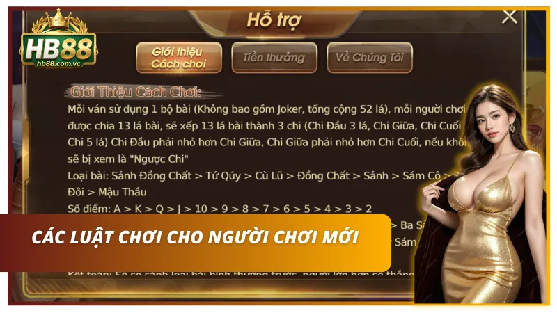 Quy tắc xếp cơ bản cần nắm trước khi vào bàn