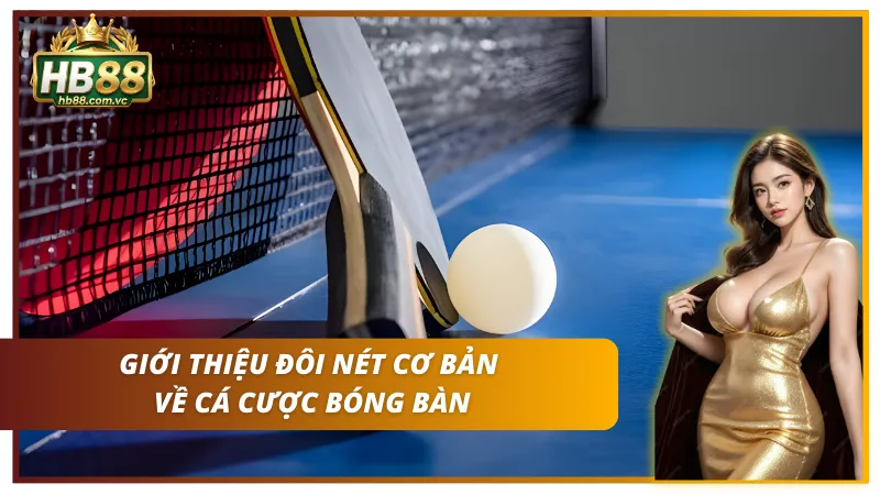 Nhũng thông tin cơ bản về cá cược bóng bàn cho Newbie