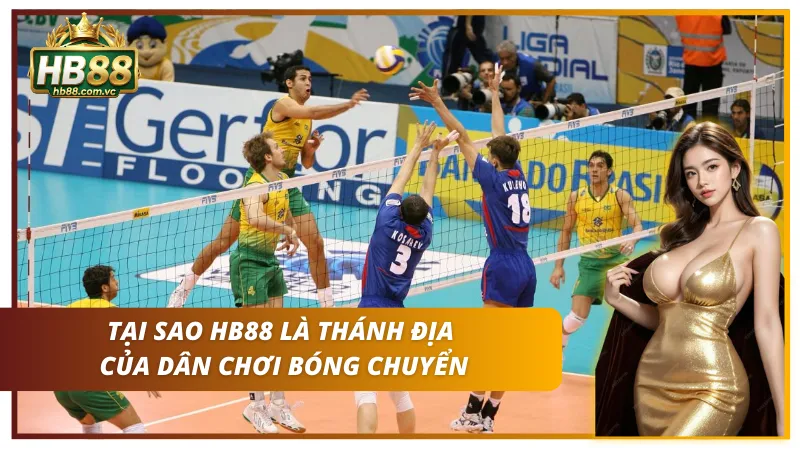 Lý do dân chuyên lại chọn cá cược tại đây