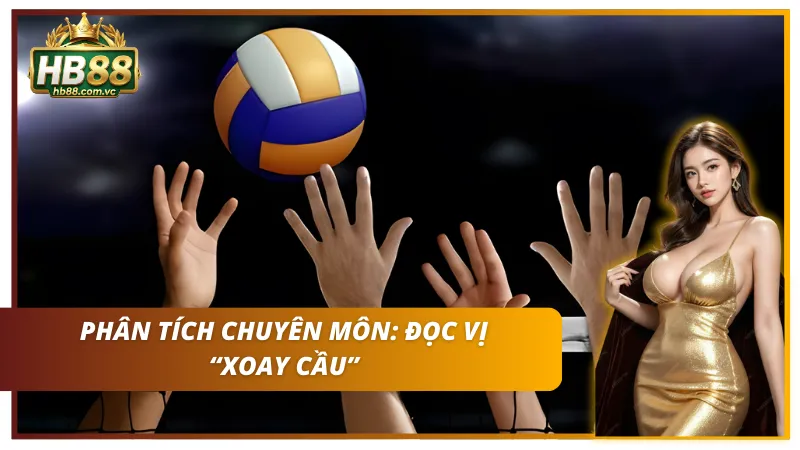 Phân tích chuyên môn cá cược bóng chuyền