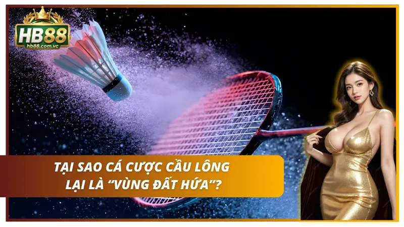 Giới thiệu về cá cược cầu lông