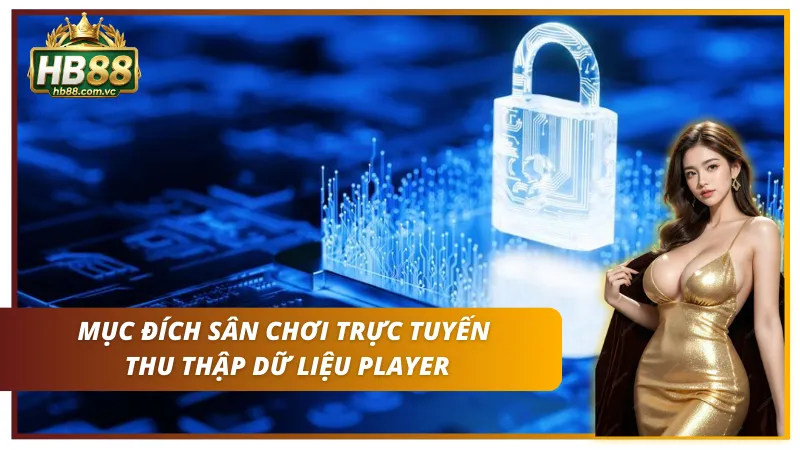 Sử dụng dữ liệu để tối ưu trải nghiệm người dùng và hỗ trợ xử lý giao dịch.