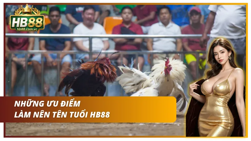 Ưu điểm nổi bật của HB88