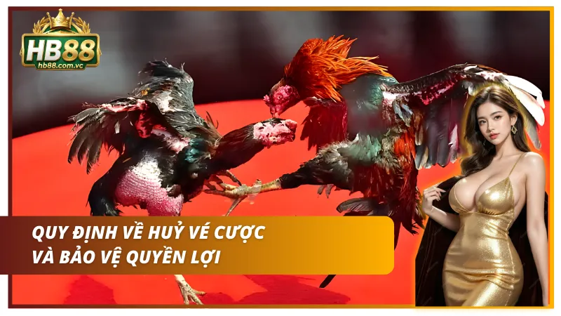 Quy định về huỷ cược gà derby