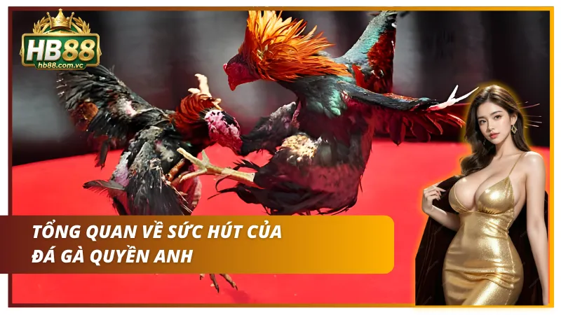 Giới thiệu về đá gà quyền anh