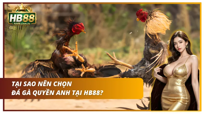 Lý do người chơi đặt niềm tin vào HB88