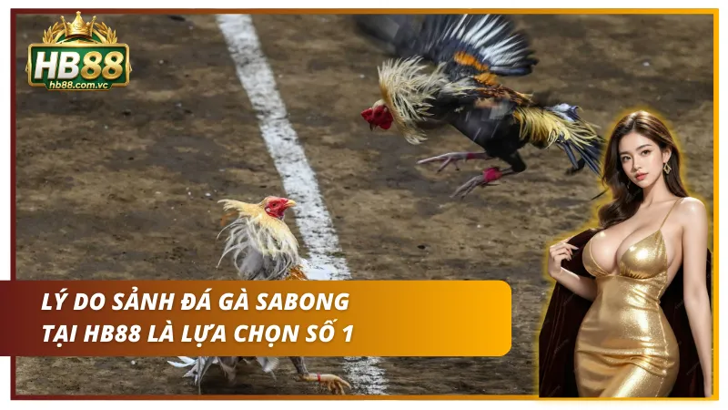 Ưu điểm không thể bỏ qua tại sảnh đá gà này