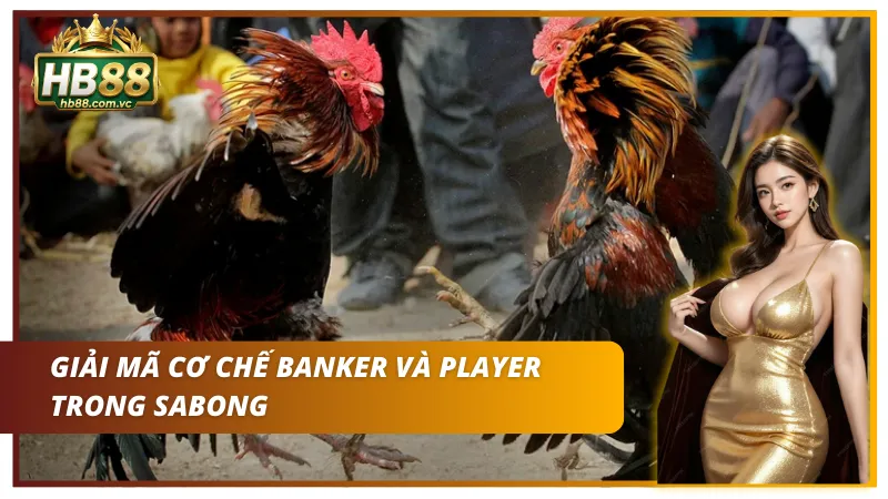 Giải mã cơ chế banker và player