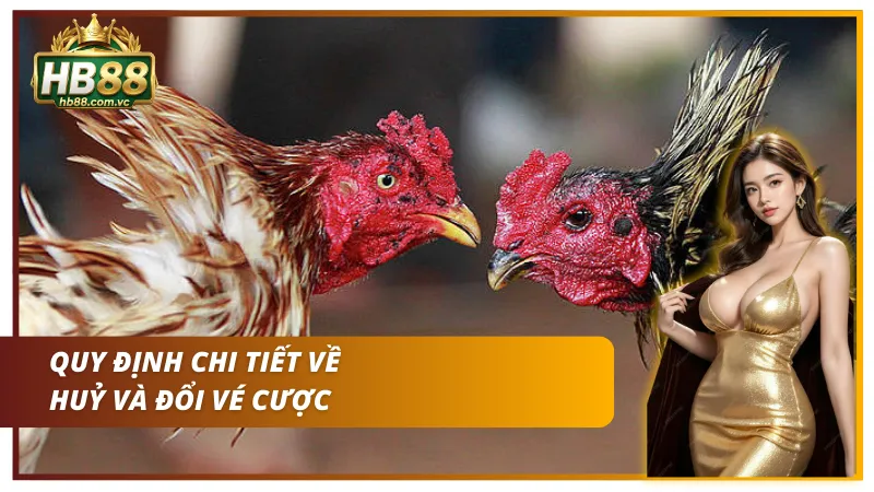 Quy định về huỷ và đổi vé cược đá gà sabong