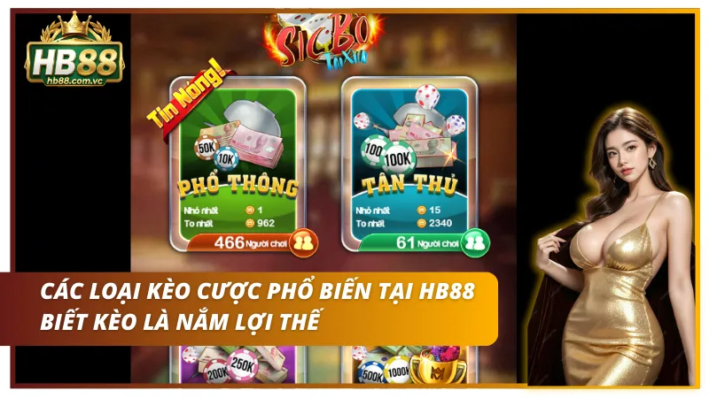 Các loại kèo cược phổ biến của tài xỉu tại nhà cái HB88